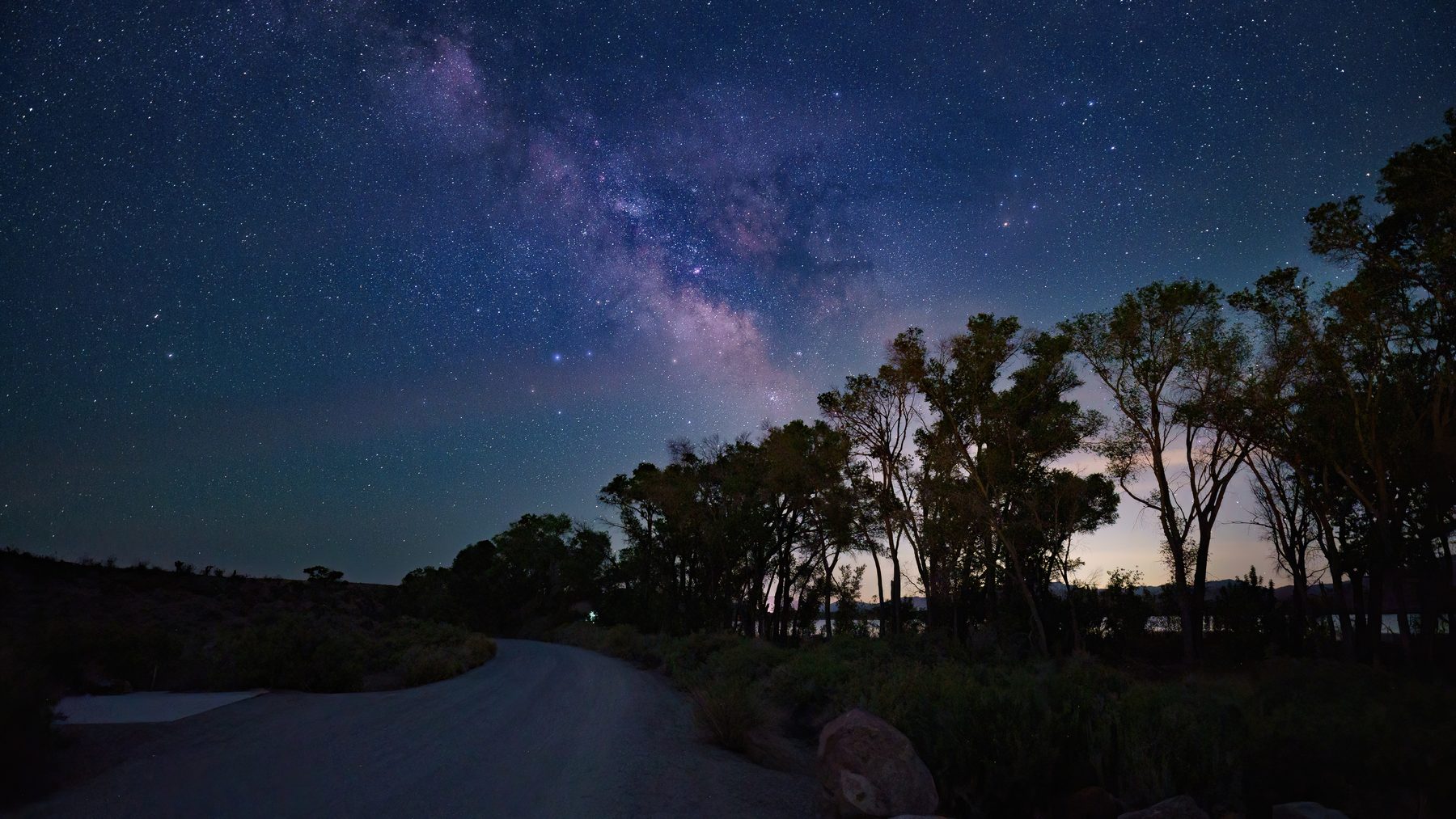 Milky Way Trees