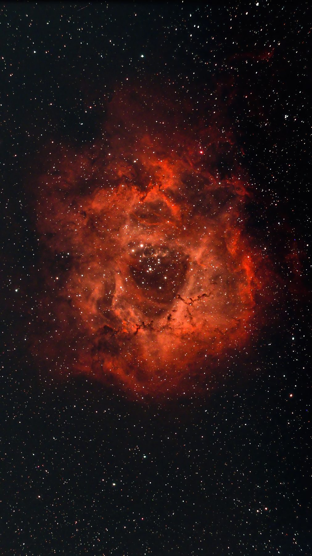 Rosette Nebula